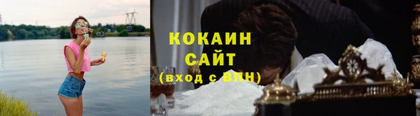 PSILOCYBIN Майский