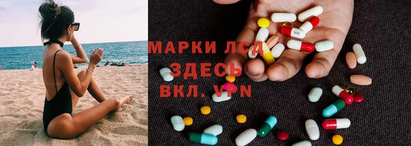 шишки Березники