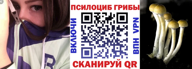 Галлюциногенные грибы Cubensis  Шагонар 